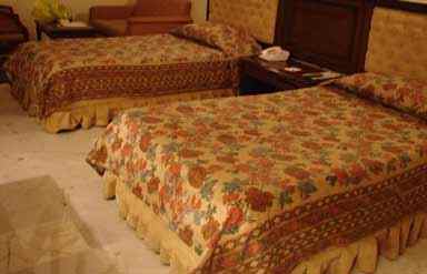 Hotel Holiday Inn Agra