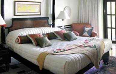 Udaivilas Hotel Udaipur