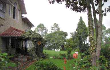 Chevron Rosemount Hotel Ranikhet