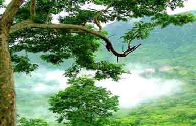 Araku Valley