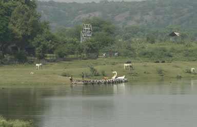 Damdama Lake