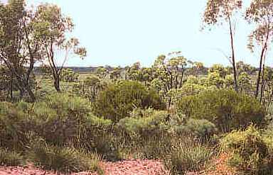 Desert National Park