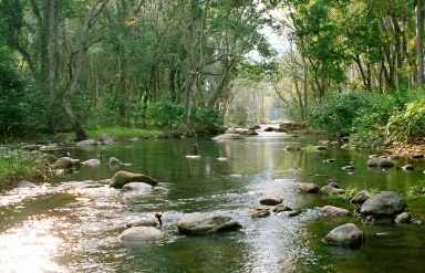 Eravikulam National Park