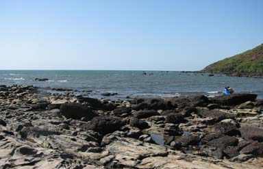 Anjuna Beach in Goa