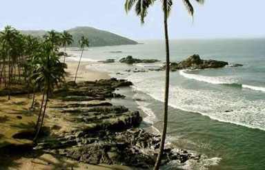 Panji