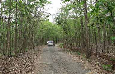 Wildlife In goa