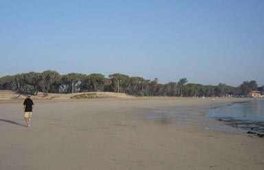 Gujarat Beaches