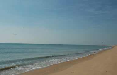 Mandvi Beach