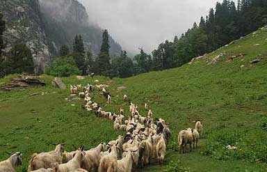 Kinnaur Himachal Pradesh