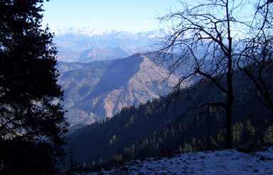 Narkanda Himachal Pradesh