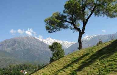 Palampur Himachal Pradesh