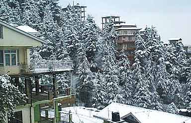 Snowfall in Shimla