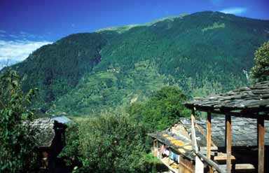 Solan Sight Scene