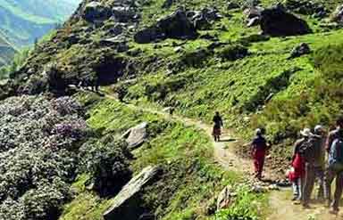 Himachal Trekking