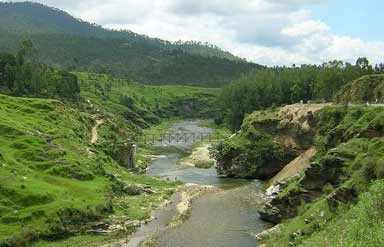 Kausani