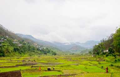 Kausani