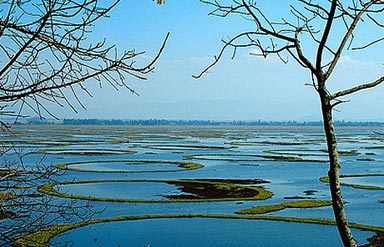  Keibul Lamjao National Park 