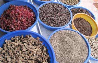 Spices of Kerala