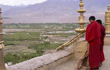 Ladakh Lamas