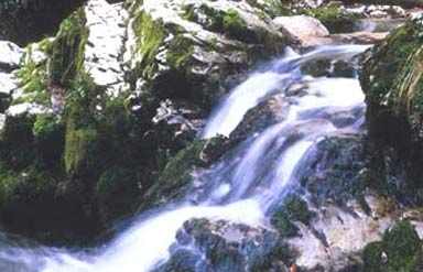 Lodh Falls, Jharkhand