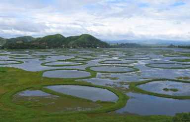 Loktak Lake,Manipur