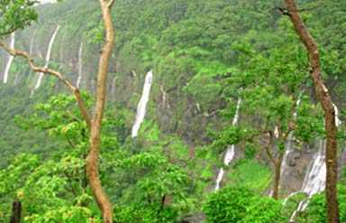 Bhimashankar Wildlife Sanctuary, Pune