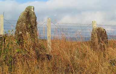 Monoliths