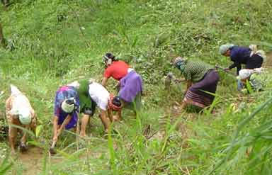 Nagaland Khonoma Green Village