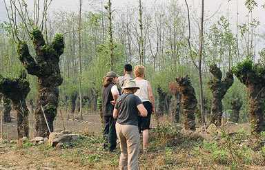 Trekking in Nagaland
