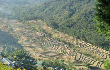 Trekking in Nagaland