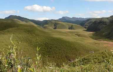 Trekking in Nagaland