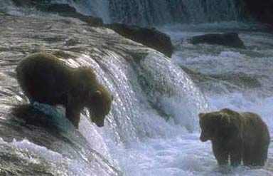 Nanda Devi National Park