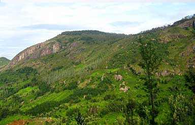 Nilgiri Hills
