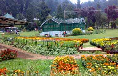Botanical Garden, Ooty