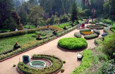 Botanical Garden, Ooty