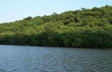Chambal River, Kota, Rajasthan