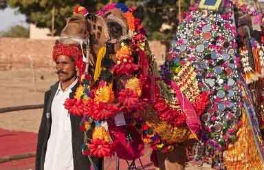 Nagaur Fair