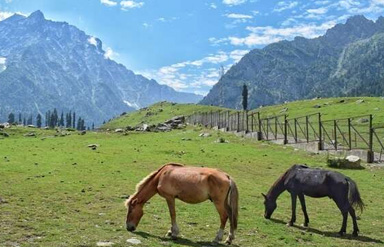 Sonamarg
