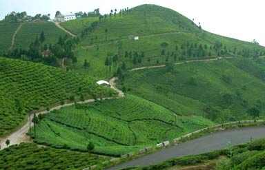 Monestry, Mirik, West Bengal