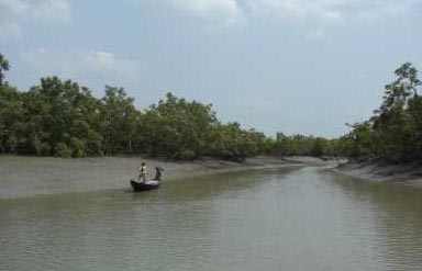 Sundarbans National Park