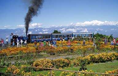 Darjeeling