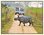 Wild East India Tour