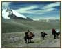 Ladakh with Classical India Tour