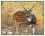 Colorful Rajasthan Heritage Tour