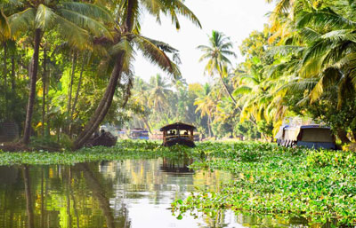 Backwaters In Kerala