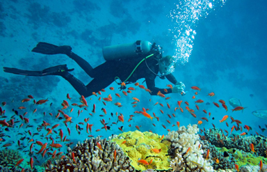 Magical Andamans Tour Package