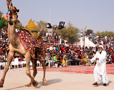 Colourful Heritage Tour of Rajasthan